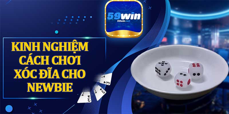 Kinh Nghiệm Cách Chơi Xóc Đĩa Cho Newbie