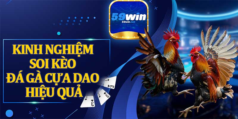 Kinh Nghiệm Soi Kèo Đá Gà Cựa Dao Hiệu Quả