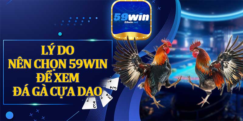 Lý Do Nên Chọn 59WIN Để Xem Đá Gà Cựa Dao